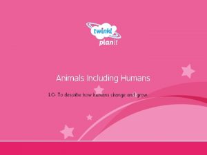 Animals Including Humans LO To describe how humans