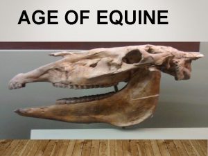 AGE OF EQUINE DETERMINING AGE Age affects usefulness