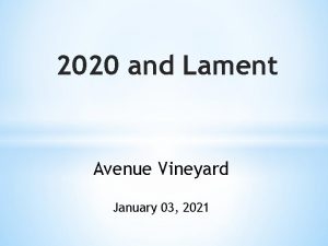 2020 and Lament Avenue Vineyard January 03 2021