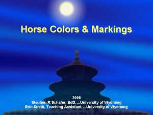 Horse Colors Markings 2006 Stephen R Schafer Ed