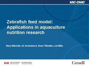 Zebrafish feed model Applications in aquaculture nutrition research