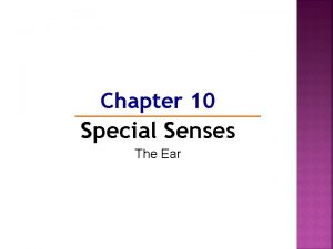 Chapter 10 Special Senses The Ear The Ear