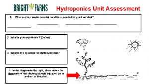 Hydroponics Unit Assessment 1 What are four environmental