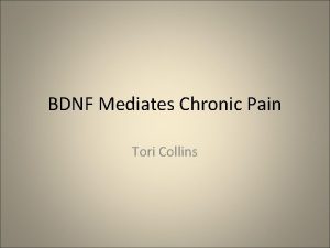 BDNF Mediates Chronic Pain Tori Collins Pain is