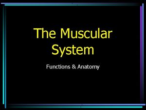 The Muscular System Functions Anatomy Functions of the