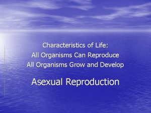 Characteristics of Life All Organisms Can Reproduce All