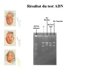 Rsultat du test ADN Mr Mrinos ADN de