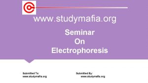 www studymafia org Seminar On Electrophoresis Submitted To