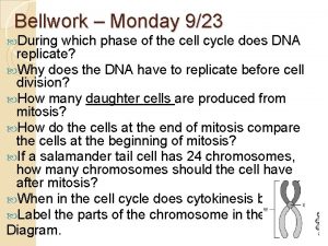 Bellwork Monday 923 During which phase of the