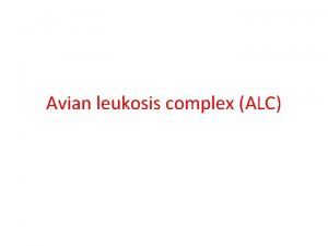 Avian leukosis complex ALC INTRODUCTION Synonym Lymphoid leukosis