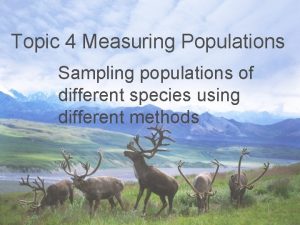Topic 4 Measuring Populations Sampling populations of different
