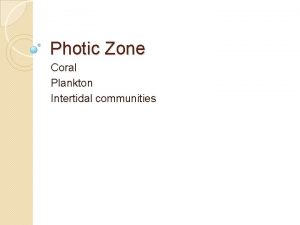 Photic Zone Coral Plankton Intertidal communities Ocean Overview