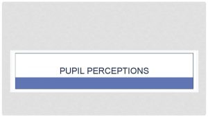 PUPIL PERCEPTIONS PUPIL PERCEPTIONS A DAY IN MAINSTREAM