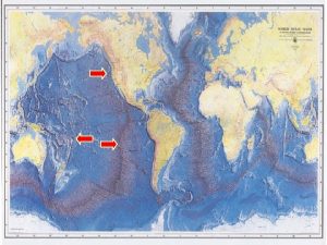 The World Ocean Floor Ocean Thematic Layers Graphics