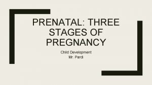 PRENATAL THREE STAGES OF PREGNANCY Child Development Mr