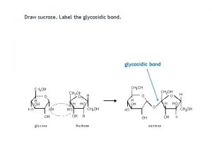 Draw sucrose Label the glycosidic bond Draw a