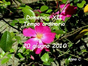 Domenica XII Tempo ordinario 20 giugno 2010 Anno