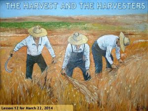 THE HARVEST AND THE HARVESTERS Lesson 12 for