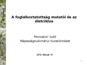 A foglalkoztatottsg mutati s az letciklus Monostori Judit