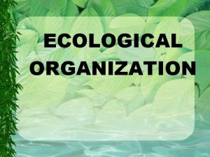 ECOLOGICAL ORGANIZATION Ecological Organization Ecology is the study