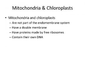 Mitochondria Chloroplasts Mitochondria and chloroplasts Are not part