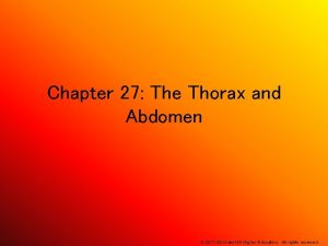 Chapter 27 The Thorax and Abdomen 2011 Mc