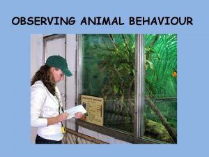 OBSERVING ANIMAL BEHAVIOUR Where do we observe behaviour