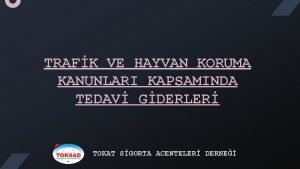 TRAFK VE HAYVAN KORUMA KANUNLARI KAPSAMINDA TEDAV GDERLER