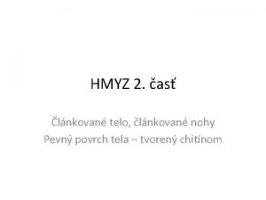 HMYZ 2 as lnkovan telo lnkovan nohy Pevn