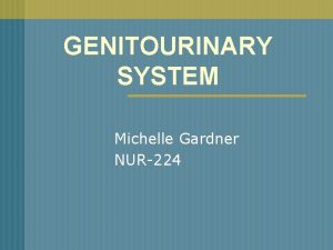 GENITOURINARY SYSTEM Michelle Gardner NUR224 URINARY SYSTEM ASSESSMENT