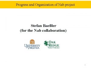 Progress and Organization of Nab project Stefan Baeler