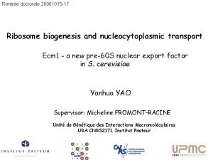 Rentre doctorale 20081015 17 Ribosome biogenesis and nucleocytoplasmic