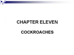 CHAPTER ELEVEN COCKROACHES Acknowledgement n Addis Ababa university