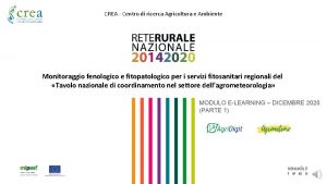 CREA Centro di ricerca Agricoltura e Ambiente Monitoraggio