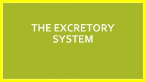 THE EXCRETORY SYSTEM What is excretion Excretion is