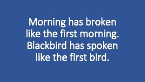 Morning has broken like the first morning Blackbird