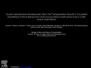 Double Haploidentical Hematopoietic Stem Cell Transplantation Results in