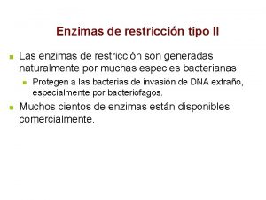 Enzimas de restriccin tipo II n Las enzimas