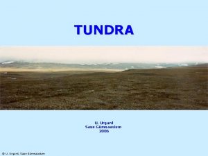 TUNDRA U Urgard Saue Gmnaasium 2006 U Urgard