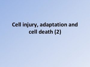 Cell injury adaptation and cell death 2 Causes