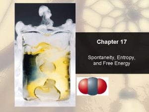 Chapter 17 Spontaneity Entropy and Free Energy Chapter