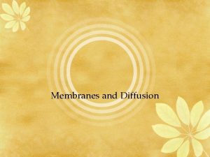 Membranes and Diffusion Cell Membranes Phospholipids have two