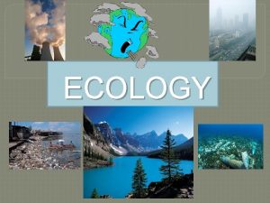 ECOLOGY Ecology the study of living things and