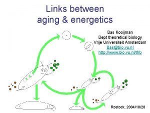 Links between aging energetics Bas Kooijman Dept theoretical