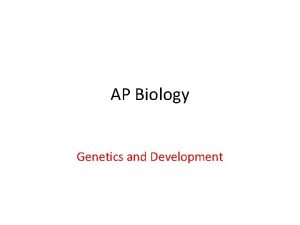 AP Biology Genetics and Development ZYGOTE Fertilized egg