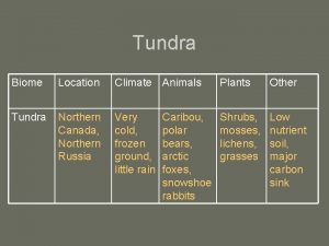 Tundra Biome Location Climate Animals Plants Other Tundra