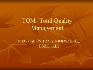 TQM Total Quality Management MEGVALSTSA MDSZEREI ESZKZEI A