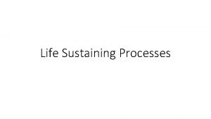 Life Sustaining Processes Success Criteria Students will become