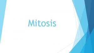 Mitosis Mitosis An Overview The process of mitosis