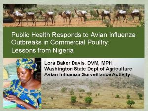 Public Health Responds to Avian Influenza Outbreaks in